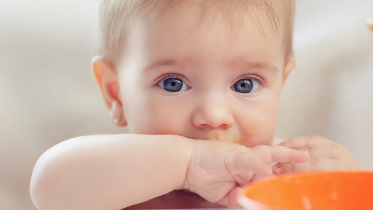 Quanto tempo para introduzir todos os alimentos do bebê?