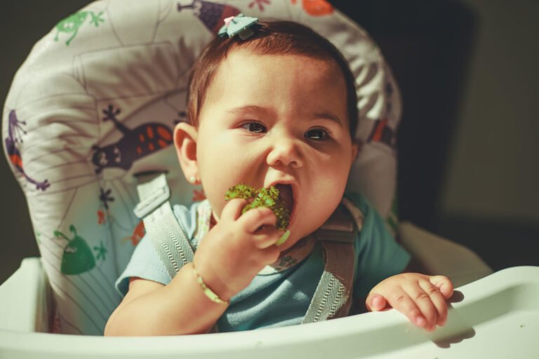 O que uma criança pode aprender no momento da alimentação?