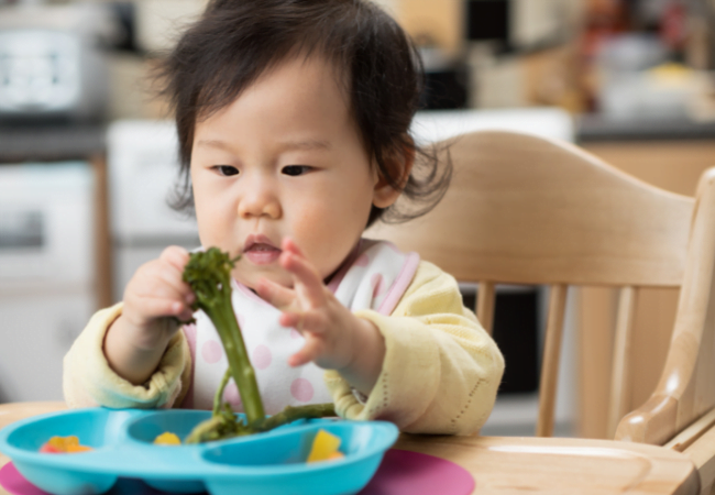 Pratos coloridos ajudam e muito na introdução alimentar do bebê sem alergias