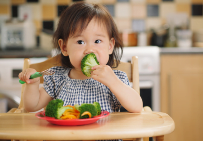 A introdução alimentar começa aos 06 meses de idade