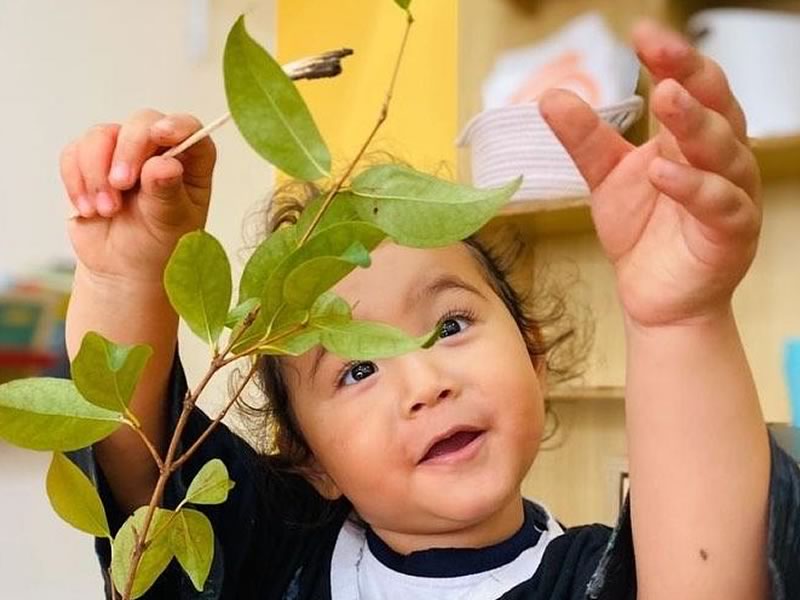 Criança mexendo com uma planta na escola infantil