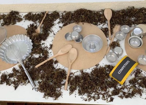 Aparatos de cozinha como colheres de pau, formas de alumínio e bandejas em cima de uma mesa com folhas