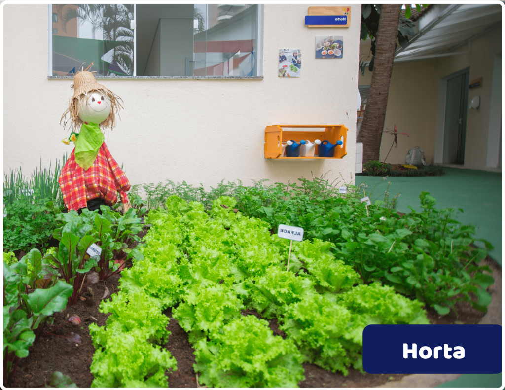 Horta da unidade Chácara Klabin da escola infantil AVIVA