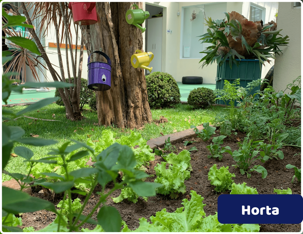Foto da horta da unidade Moema da escola infantil AVIVA