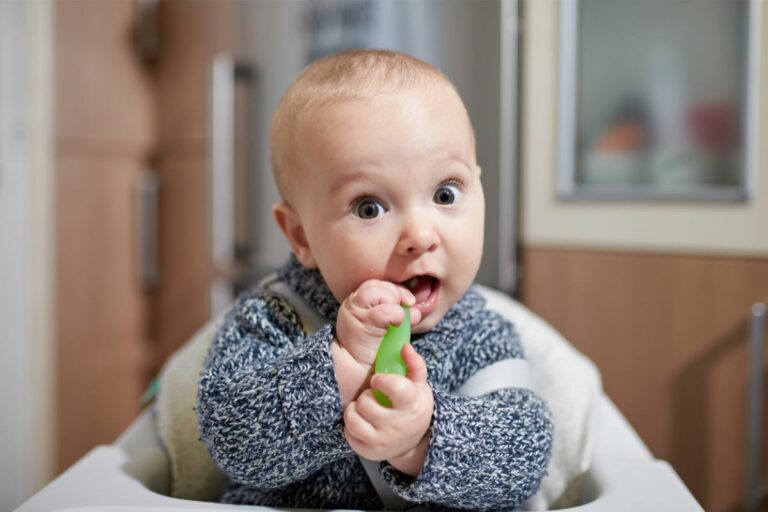 bebê se alimentando sozinho
