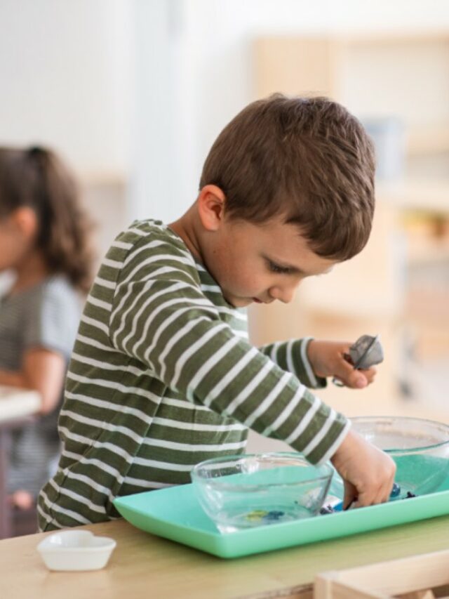 Métodos de Educação Infantil: Comparando Montessori, Waldorf e Tradicional