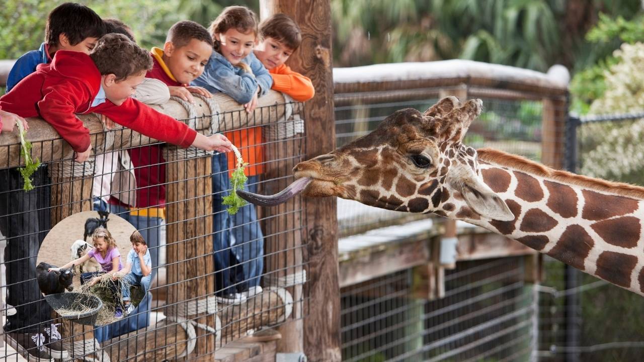 Zoológicos em São Paulo e região para ir com Crianças.