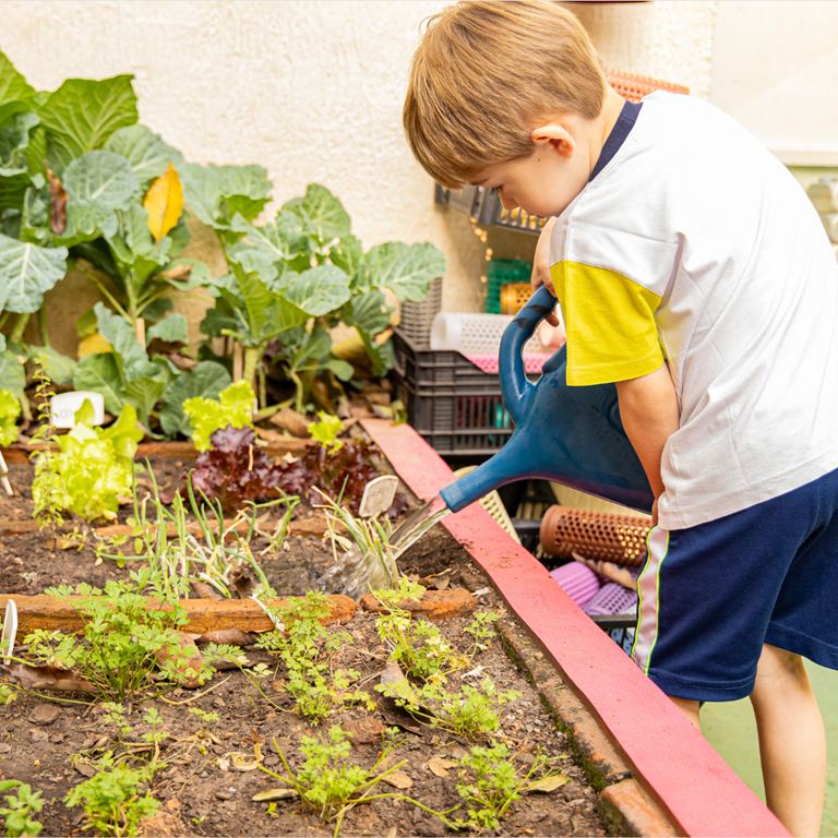 criança regando planta na aviva escola infantil