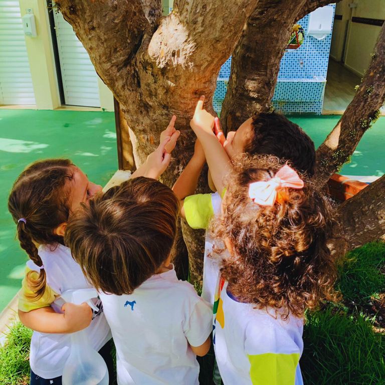 crianças brincando com árvore na aviva escola infantil