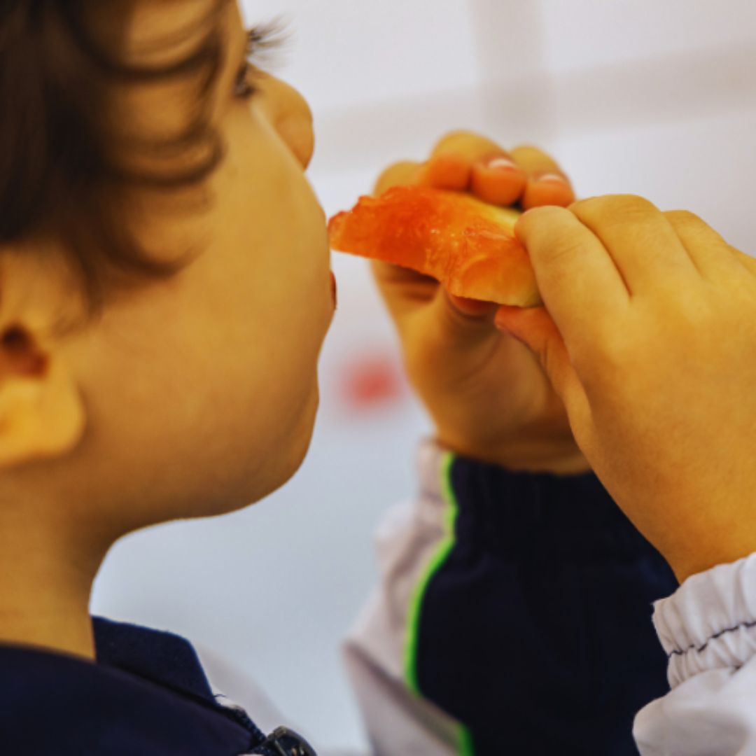 criança comendo melancia na escola infantil Aviva